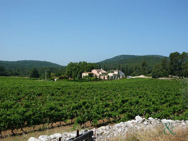 Vignoble avec piscine