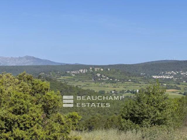 Vignoble avec piscine