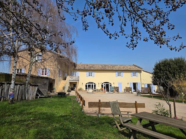 Vignoble avec piscine