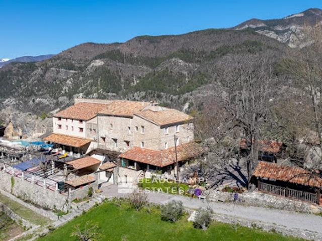 Vignoble avec piscine