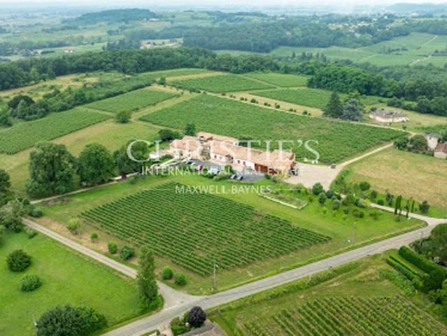 Vignoble avec piscine