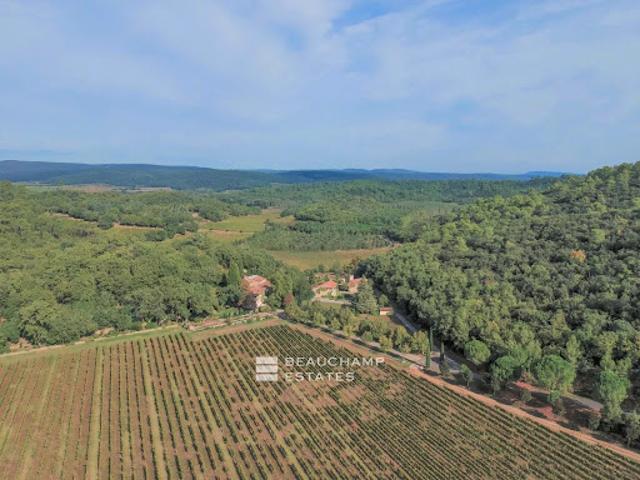 Vignoble avec piscine
