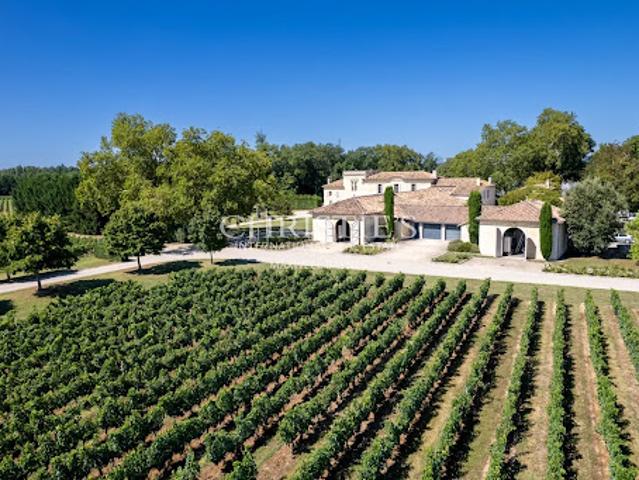 Vignoble avec piscine