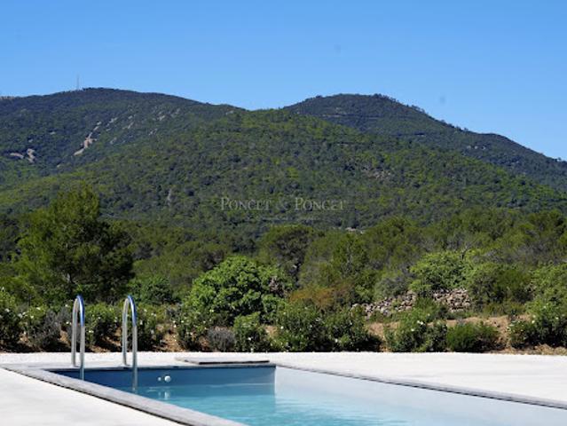 Vignoble avec piscine