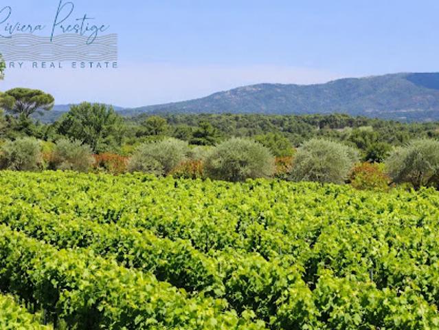 Vignoble avec piscine