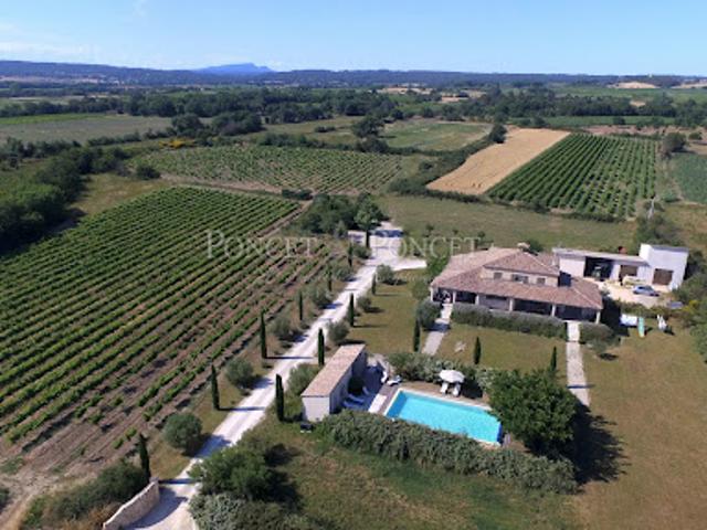 Vignoble avec piscine