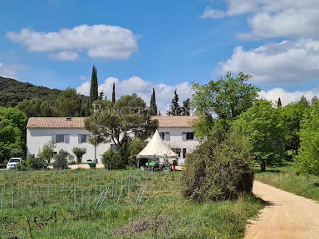 Vignoble avec piscine et dépendances