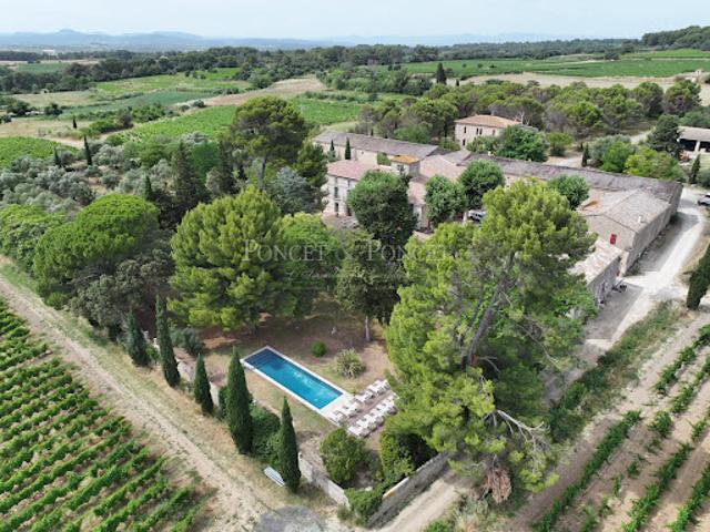 Vignoble avec piscine et dépendances