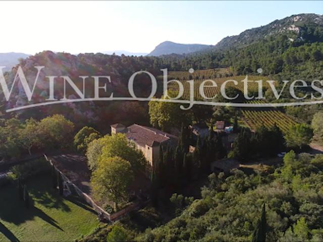 Vignoble avec piscine et dépendances