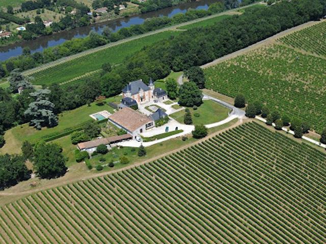 Vignoble avec piscine et dépendances