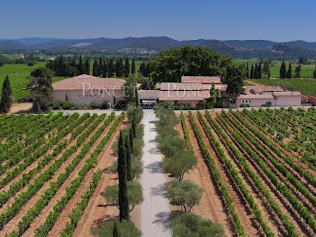 Vignoble avec piscine et dépendances