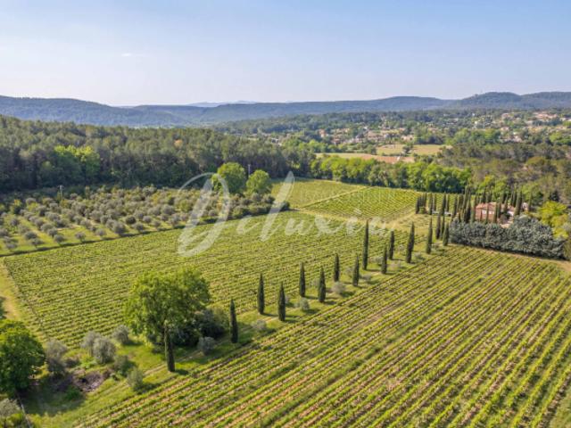 Vignoble de caractère à vendre dans le Var, une signature re