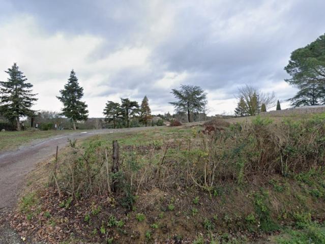 Vigoulet Auzil Vente Terrain 31
