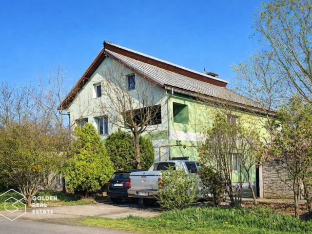Vilă exclusivistă cu funcțiuni mixte, în Sânandrei potențial investițional