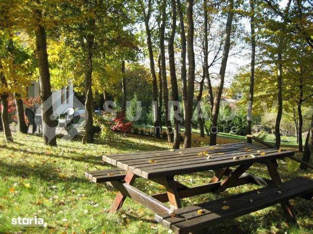 Vilă spațioasă de închiriat – liniște, natură și confort, Mănăștur