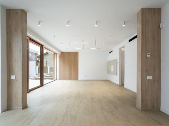 vila moderna | iancu nicolae | padurea baneasa