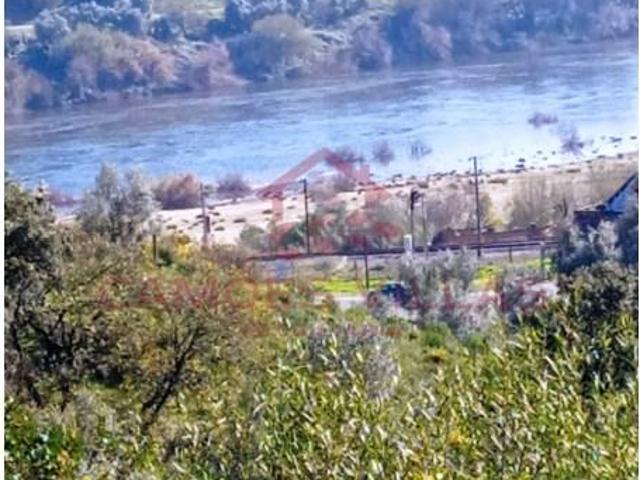 Vila Nova da Barquinha Vila Nova da Barquinha LS100190746