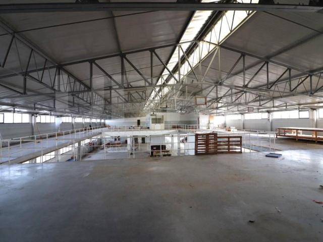 Vila Nova de Gaia Vila Nova de Gaia 4415 100407782