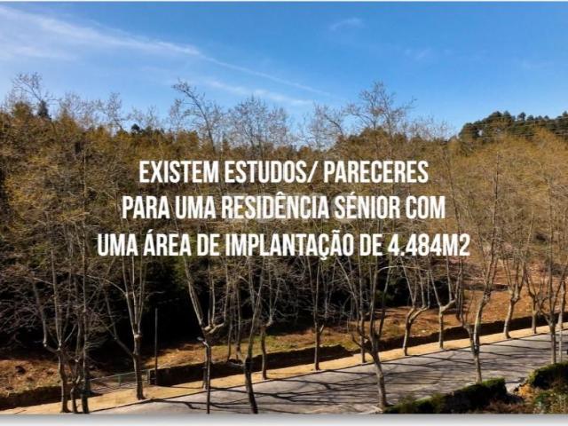 Vila Nova de Gaia Vila Nova de Gaia 90065390