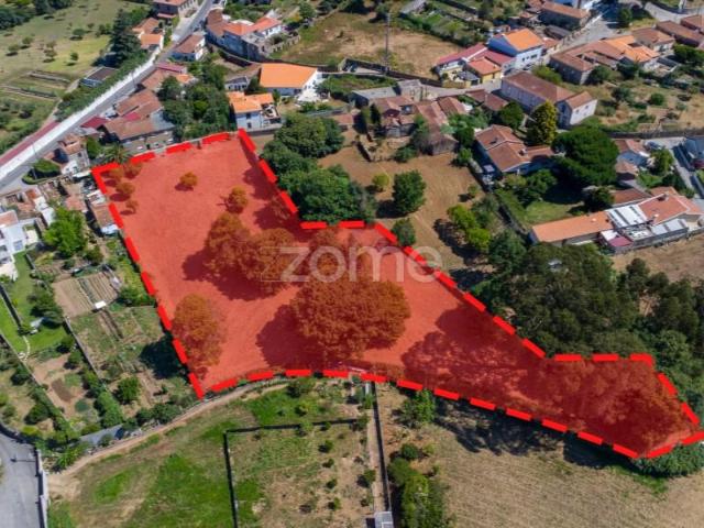 Vila Nova de Gaia Vila Nova de Gaia 96299806
