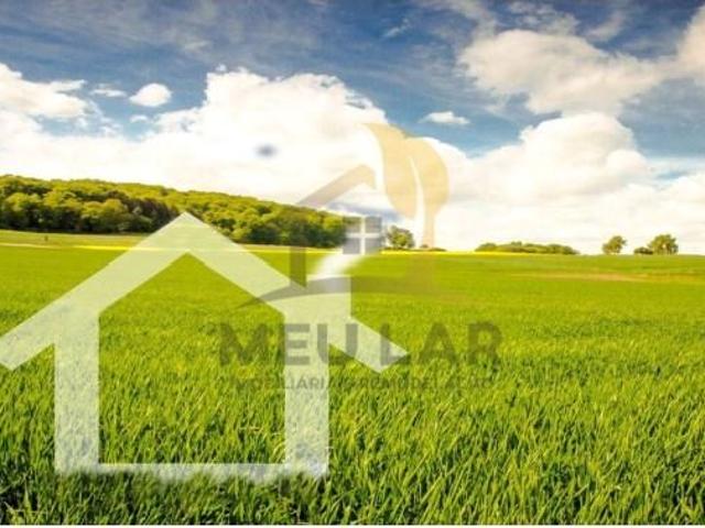 Vila Nova de Gaia Vila Nova de Gaia 99470812