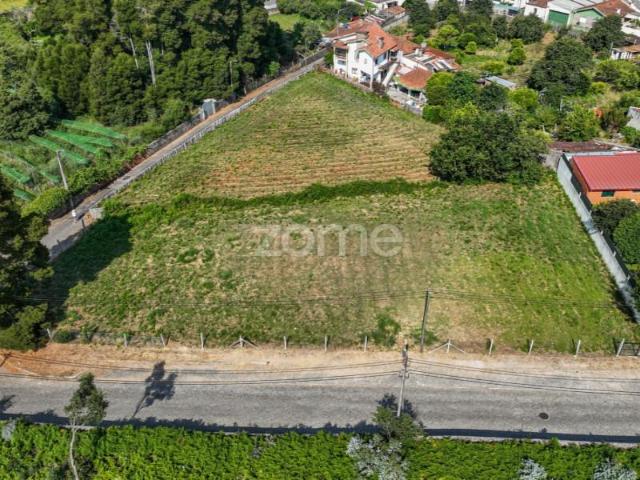 Vila Nova de Gaia Vila Nova de Gaia 99890013
