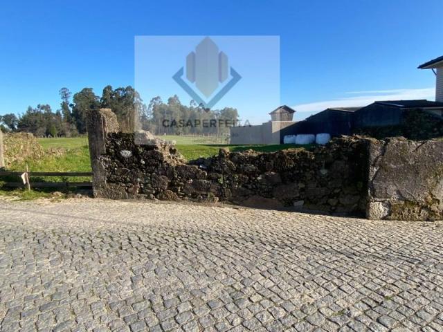 Vila Nova de Gaia Vila Nova de Gaia 100891064