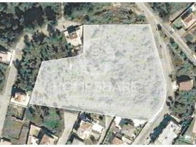 Vila Nova de Gaia Vila Nova de Gaia 100955226