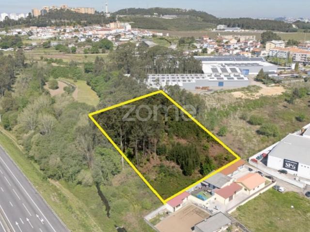 Vila Nova de Gaia Vila Nova de Gaia 101065092