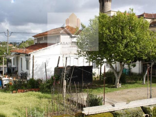 Vila Nova de Gaia Vila Nova de Gaia 102466610