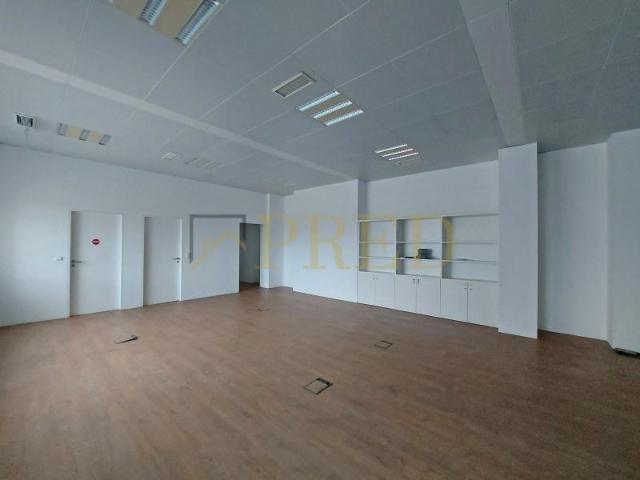 Vila Nova de Gaia Vila Nova de Gaia 102587218