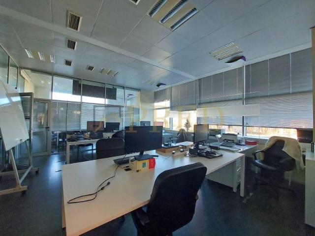 Vila Nova de Gaia Vila Nova de Gaia 103637233