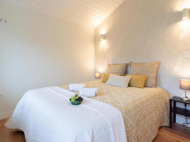 Vila Nova de Gaia Vila Nova de Gaia 103335344