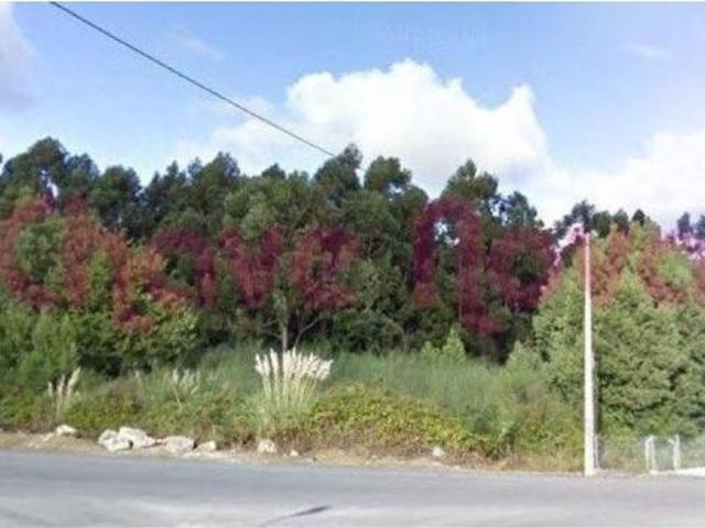 Vila Nova de Gaia Vila Nova de Gaia 103394135