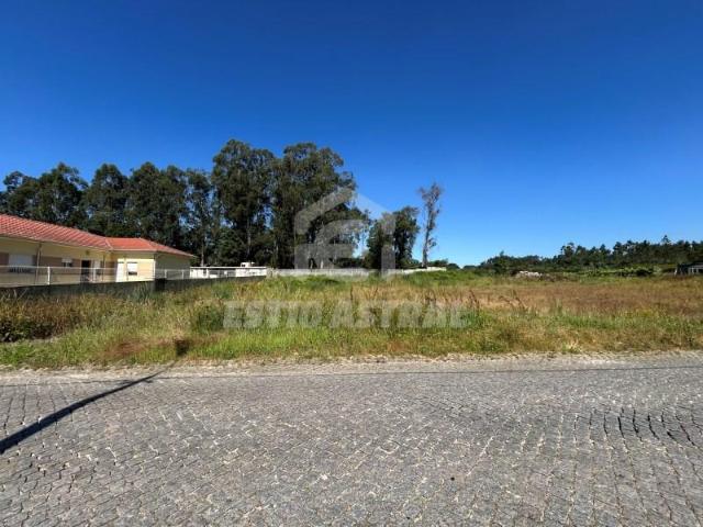 Vila Nova de Gaia Vila Nova de Gaia 104649493