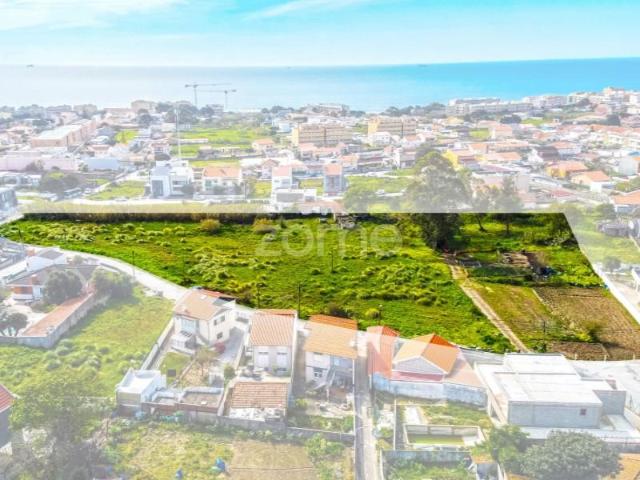 Vila Nova de Gaia Vila Nova de Gaia 104792593