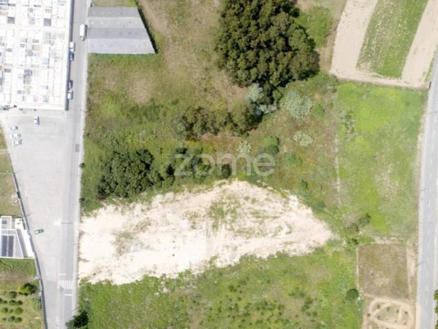 Vila Nova de Gaia Vila Nova de Gaia 104816670