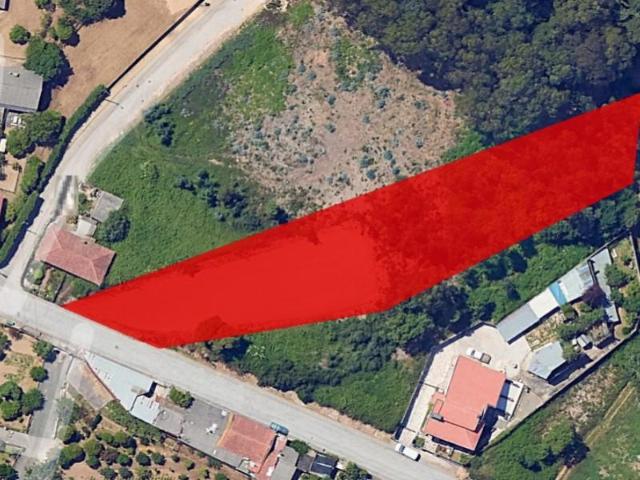 Vila Nova de Gaia Vila Nova de Gaia 104266805