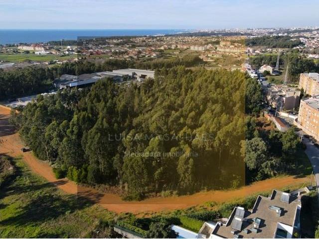 Vila Nova de Gaia Vila Nova de Gaia LS89739223