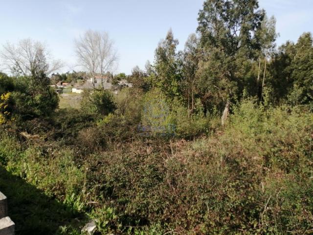 Vila Nova de Gaia Porto 83872671