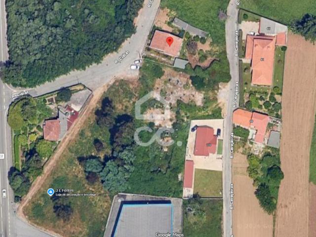 Vila Nova de Gaia Porto 100716720