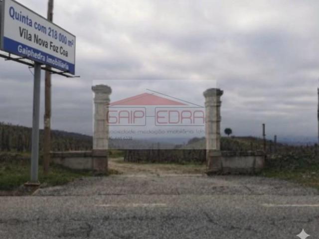 Vila Nova de Foz Côa Vila Nova de Foz Côa 96159131
