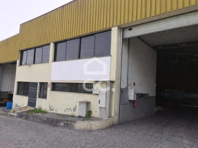 Vila Nova de Famalicão Braga 101306653