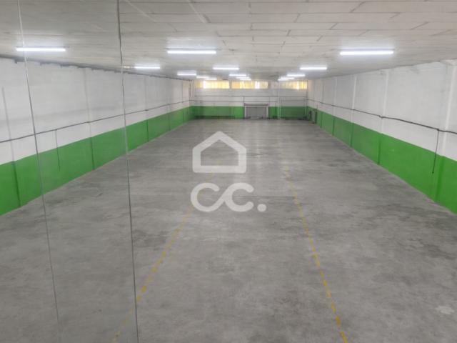 Vila Nova de Famalicão Braga 101306651