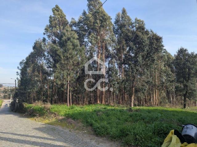 Vila Nova de Famalicão Braga 101988557