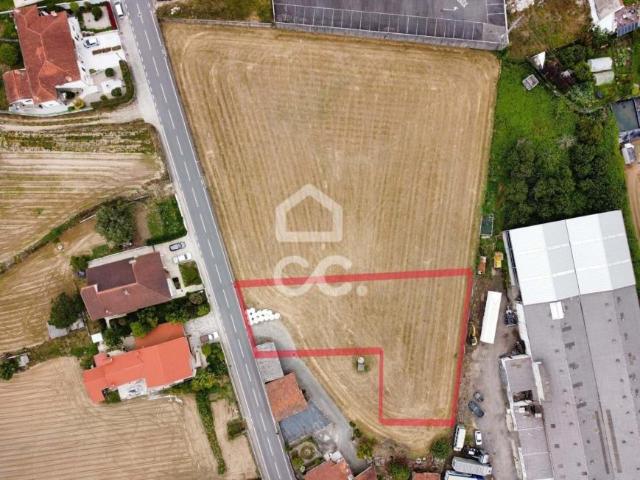 Vila Nova de Famalicão Braga 101988573