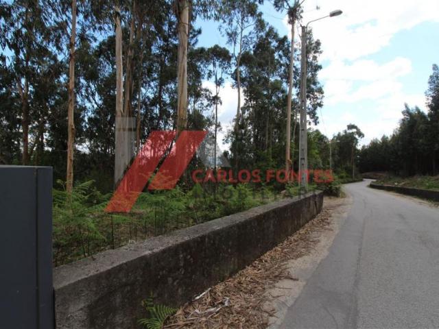 Vila Nova de Famalicão Braga 4770 170 87088789
