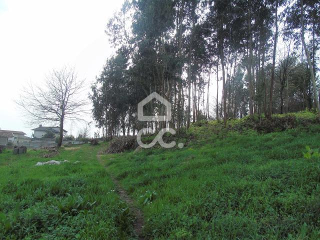 Vila Nova de Famalicão Braga 79073910