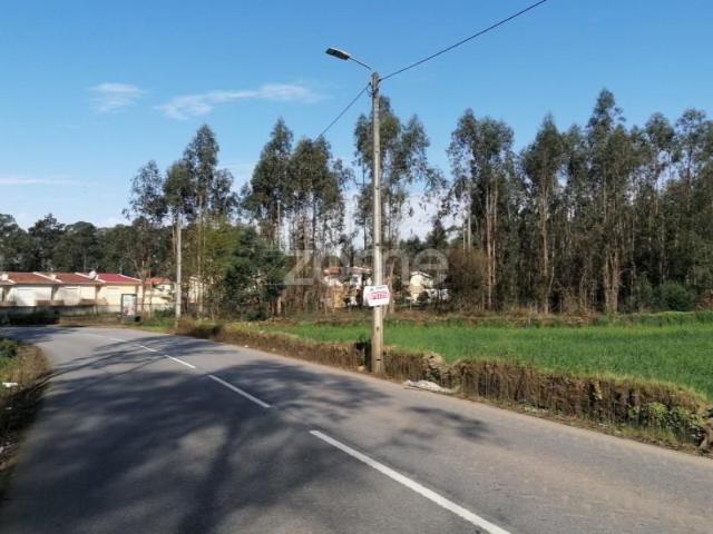Vila Nova de Famalicão Vila Nova de Famalicão 104482569