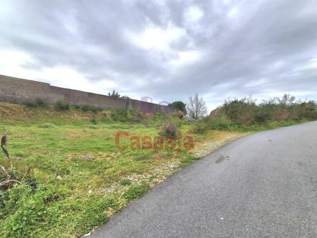 Vila Nova de Famalicão Vila Nova de Famalicão 100256771